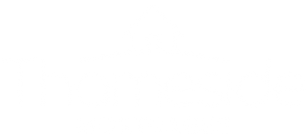 Thameside Mortgages Logo
